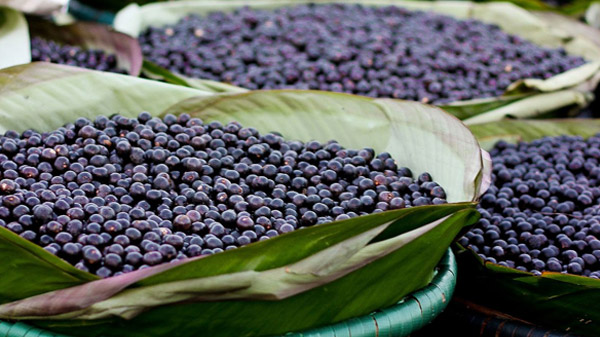 Açai