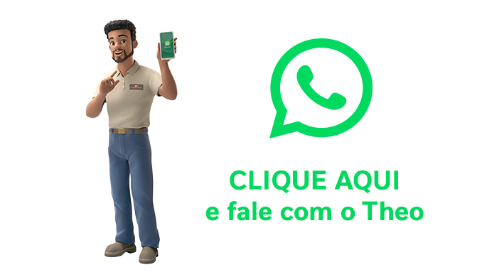 Fale com o Theo