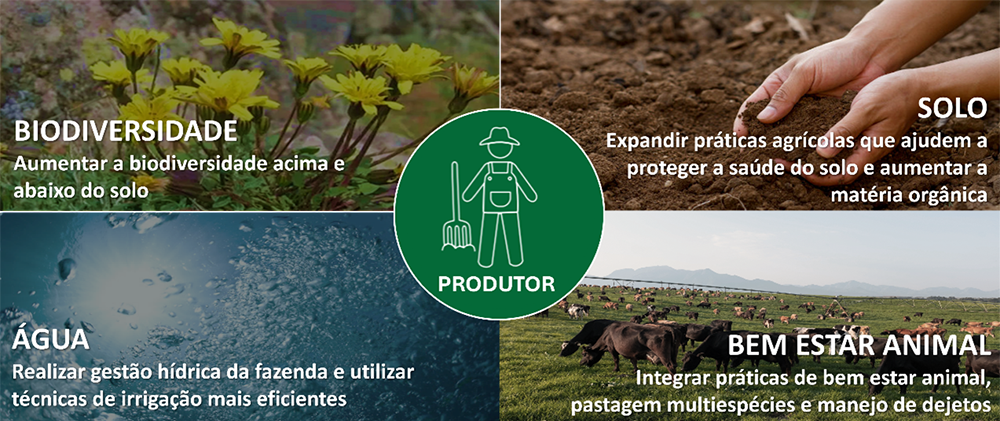Pilares da Agricultura