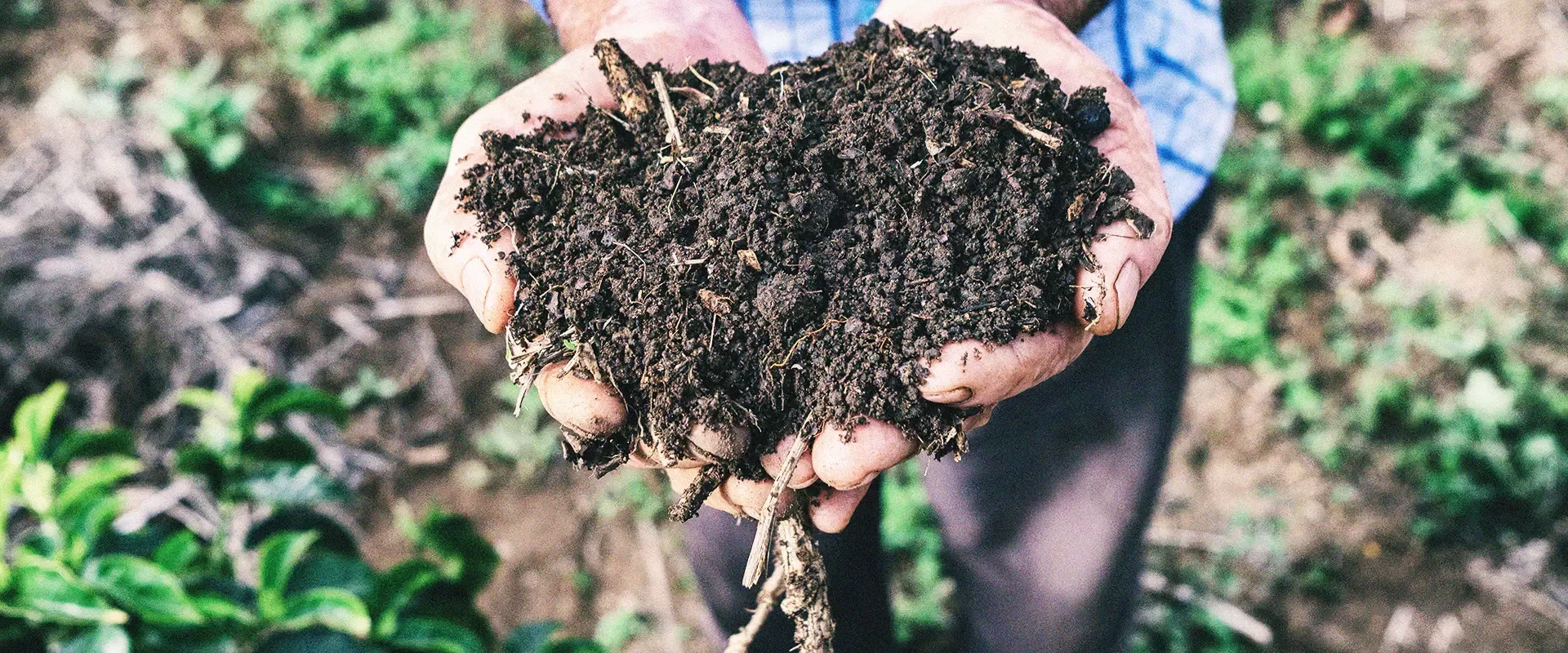Liderar a transformação da agricultura