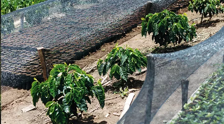 Apoiar a transição das propriedades