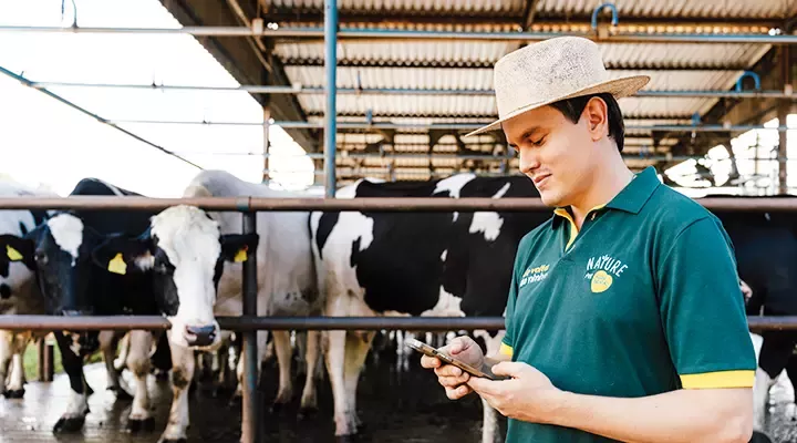 Controle de emissões de carbono