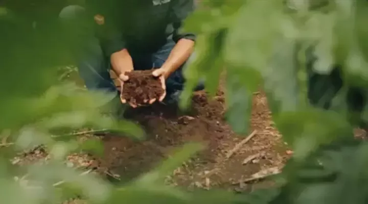 Cuidado com o solo