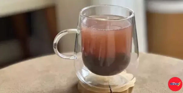 Bubble Tea Caseiro
